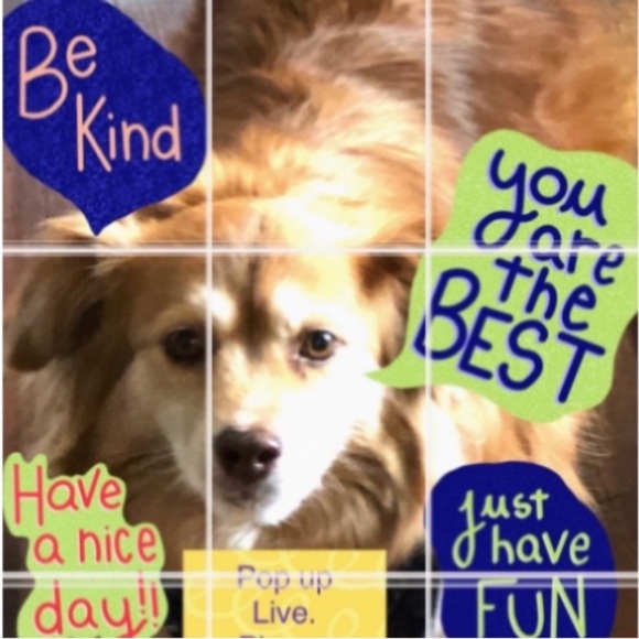 Handmade Scrubby Pumpkin Kitchen Bathroom Soap Holder Fall Autumn Decor Crochet - Picture 11 of 17